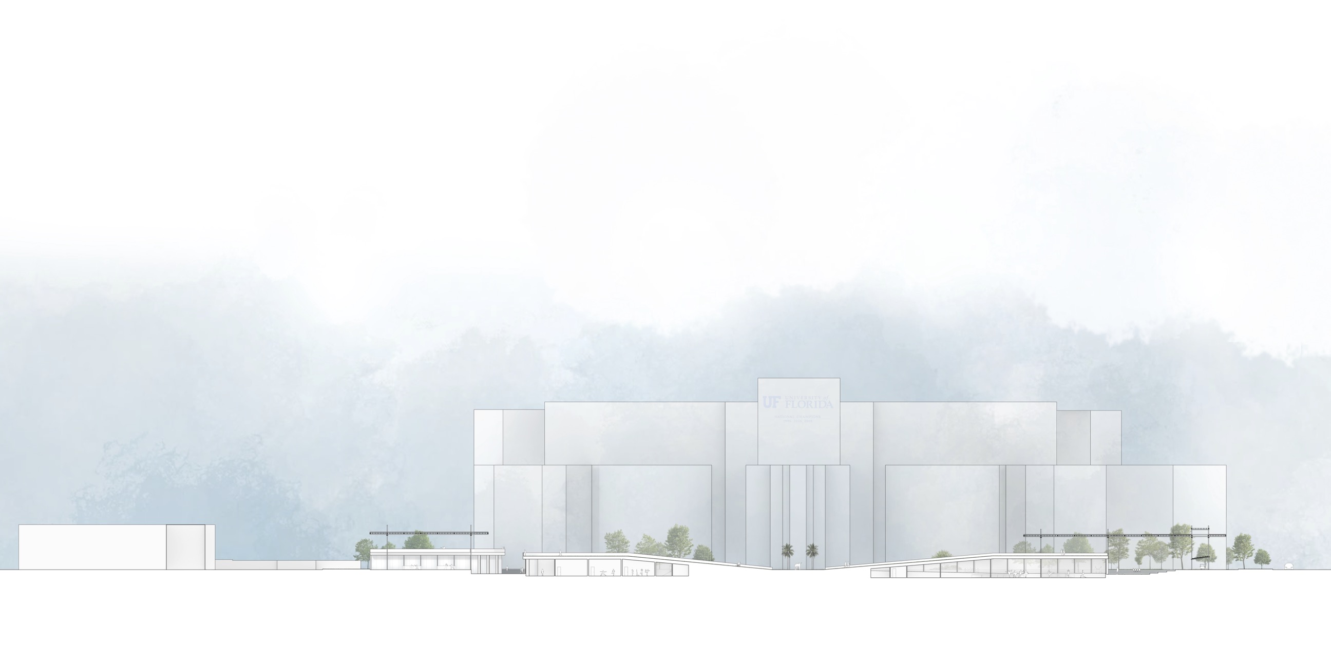 Longitudinal Section